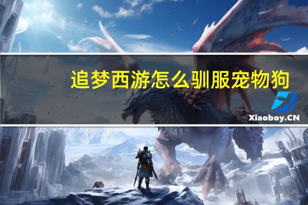追梦西游怎么驯服宠物狗