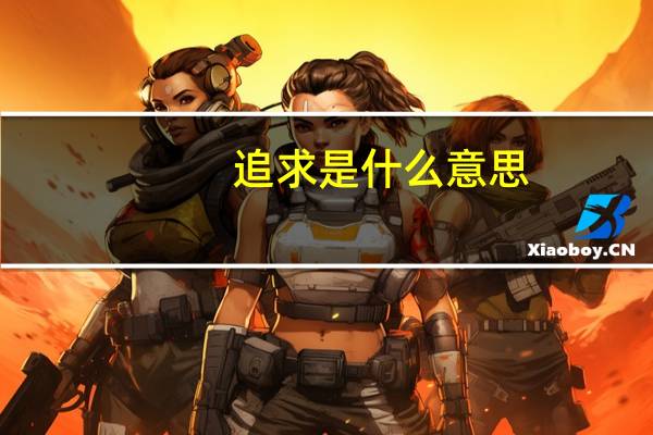追求是什么意思
