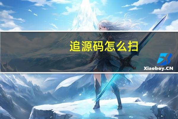 追源码怎么扫