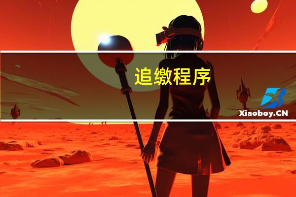 追缴程序