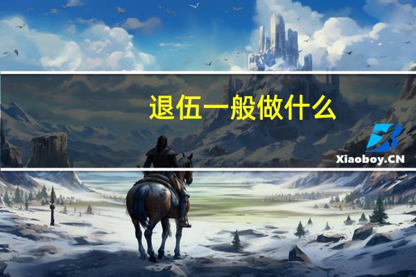 退伍一般做什么
