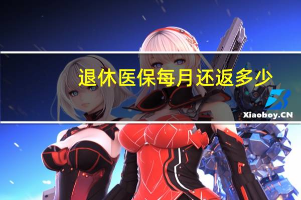 退休医保每月还返多少