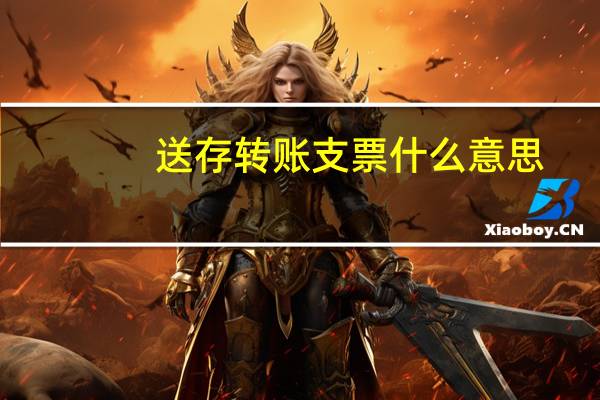 送存转账支票什么意思