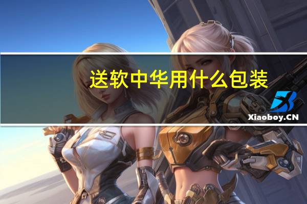 送软中华用什么包装