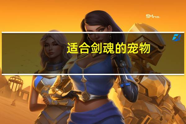 适合剑魂的宠物