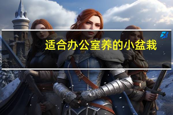适合办公室养的小盆栽