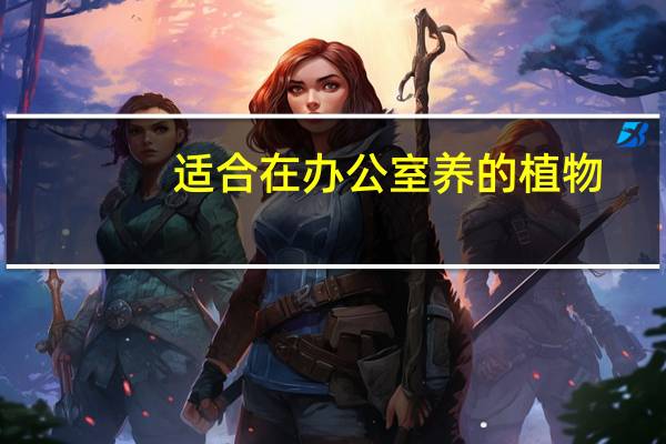 适合在办公室养的植物