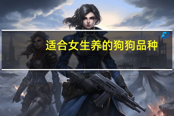 适合女生养的狗狗品种
