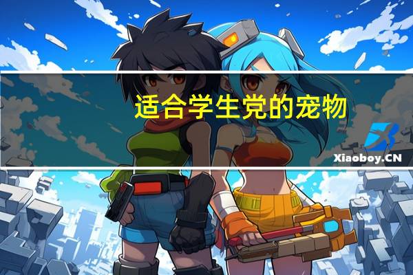 适合学生党的宠物