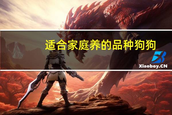 适合家庭养的品种狗狗