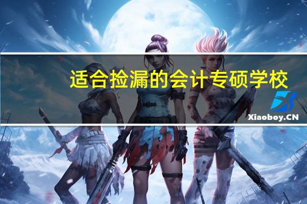 适合捡漏的会计专硕学校