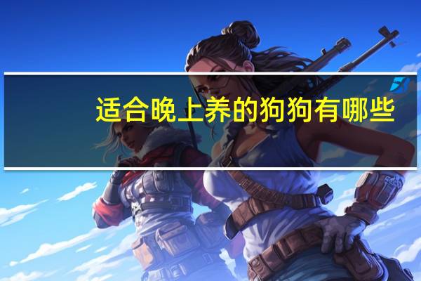 适合晚上养的狗狗有哪些