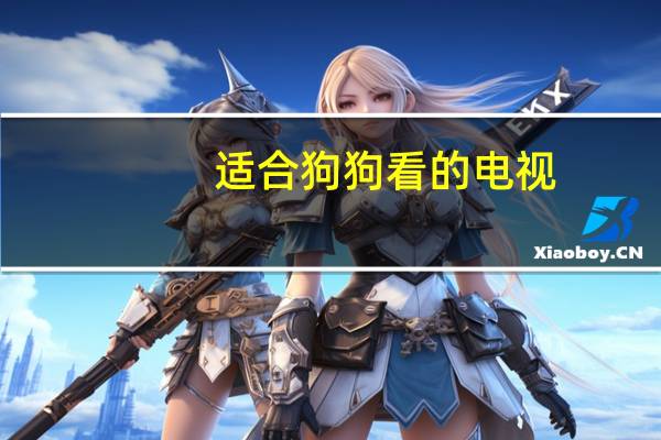 适合狗狗看的电视