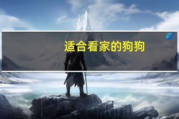 适合看家的狗狗
