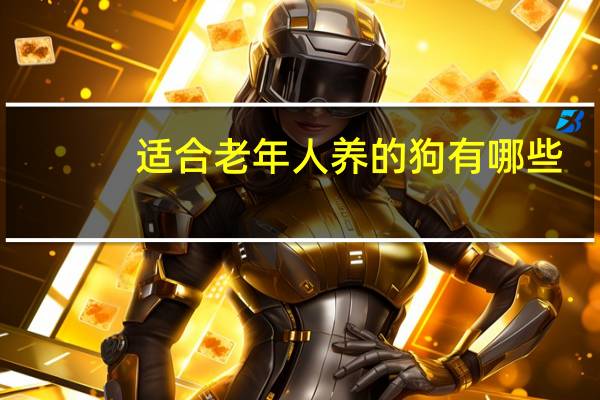 适合老年人养的狗有哪些