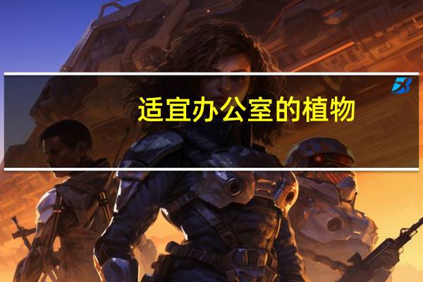 适宜办公室的植物