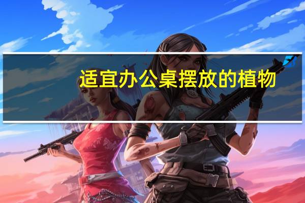 适宜办公桌摆放的植物
