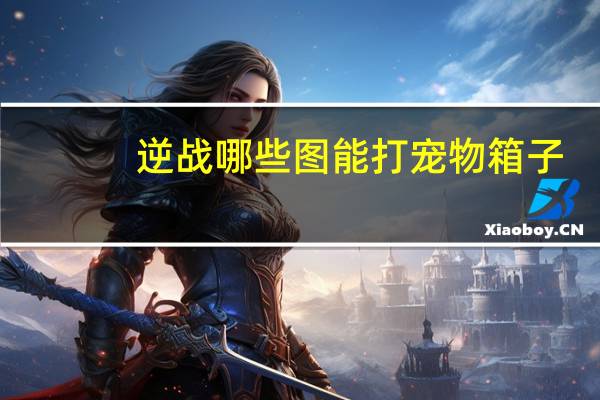 逆战哪些图能打宠物箱子
