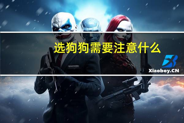 选狗狗需要注意什么