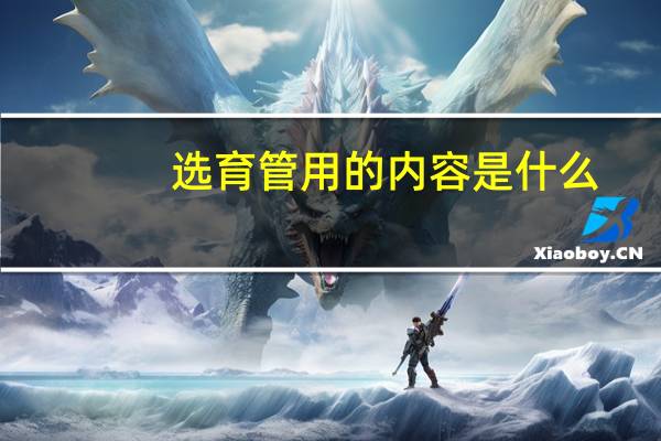 选育管用的内容是什么