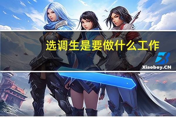 选调生是要做什么工作