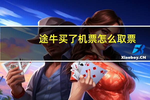 途牛买了机票怎么取票