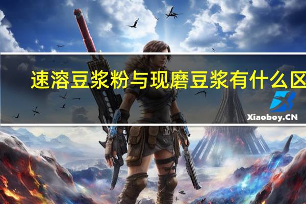 速溶豆浆粉与现磨豆浆有什么区别