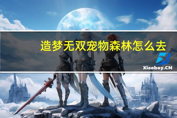 造梦无双宠物森林怎么去