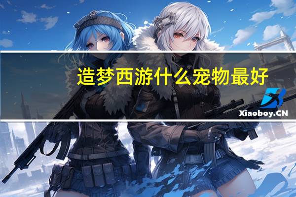 造梦西游什么宠物最好
