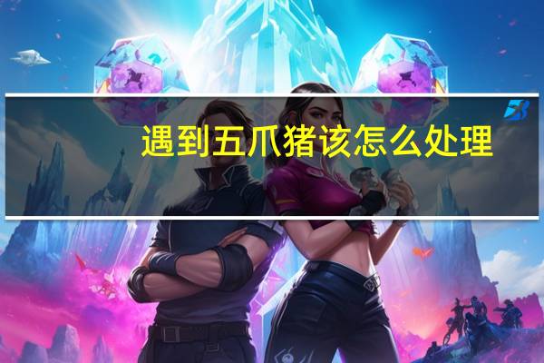 遇到五爪猪该怎么处理