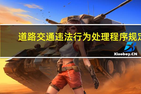 道路交通违法行为处理程序规定