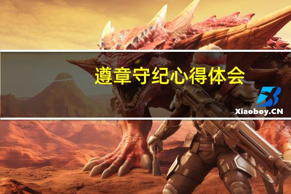 遵章守纪心得体会