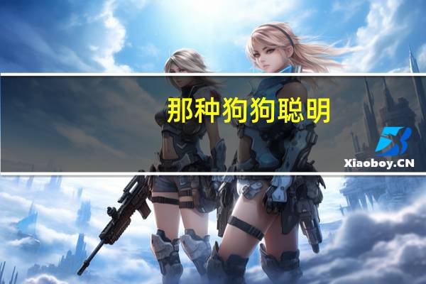 那种狗狗聪明