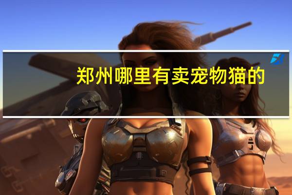 郑州哪里有卖宠物猫的