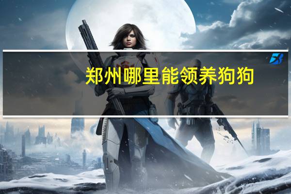 郑州哪里能领养狗狗