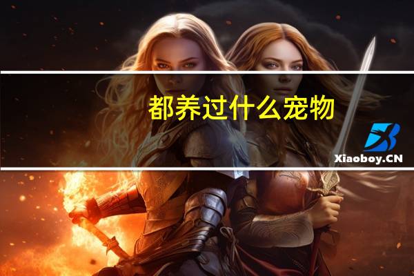 都养过什么宠物