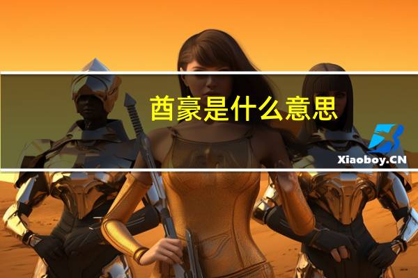酋豪是什么意思
