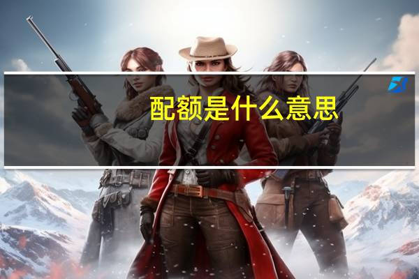 配额是什么意思