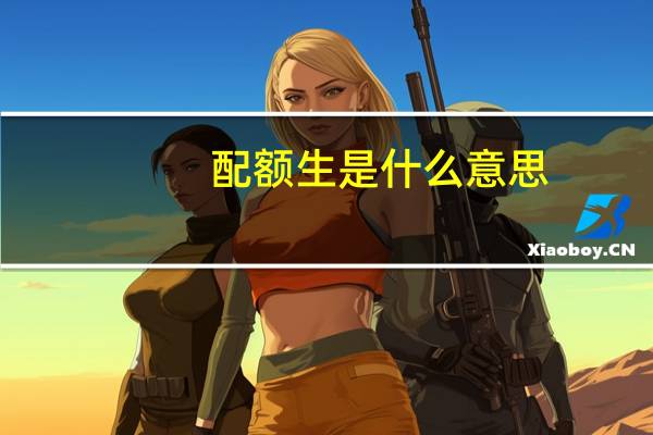 配额生是什么意思