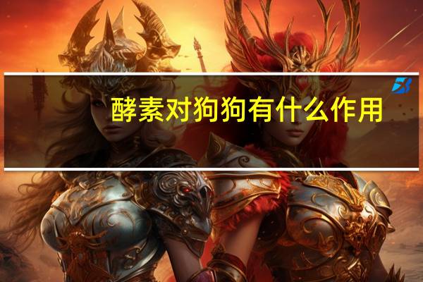 酵素对狗狗有什么作用