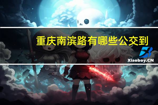 重庆南滨路有哪些公交到