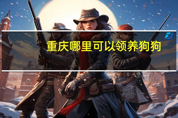 重庆哪里可以领养狗狗