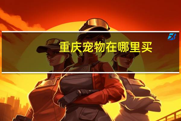 重庆宠物在哪里买