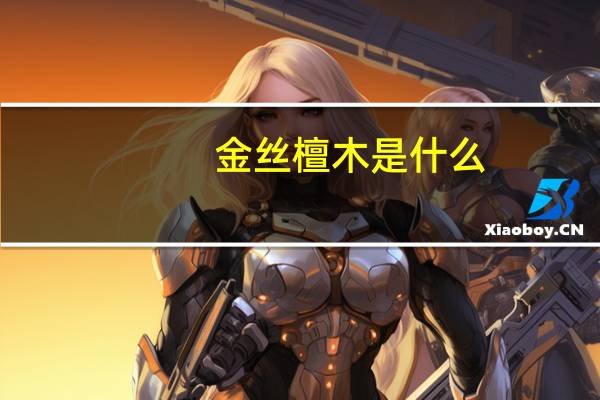 金丝檀木是什么