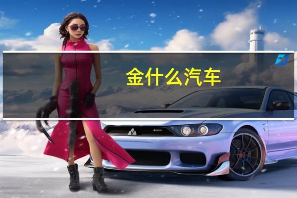 金什么汽车