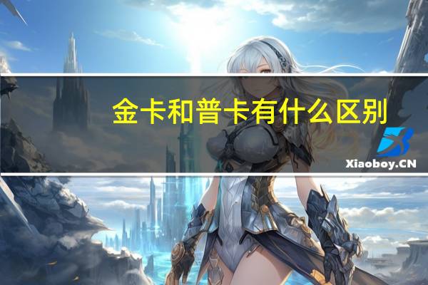 金卡和普卡有什么区别