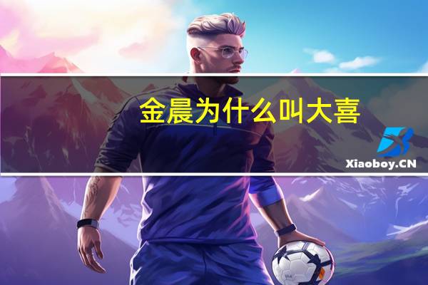 金晨为什么叫大喜