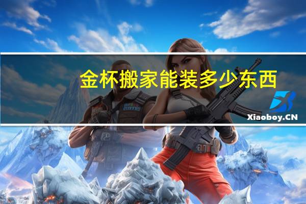 金杯搬家能装多少东西