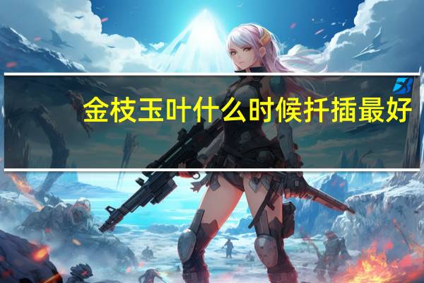 金枝玉叶什么时候扦插最好