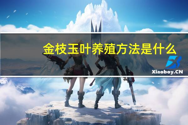 金枝玉叶养殖方法是什么